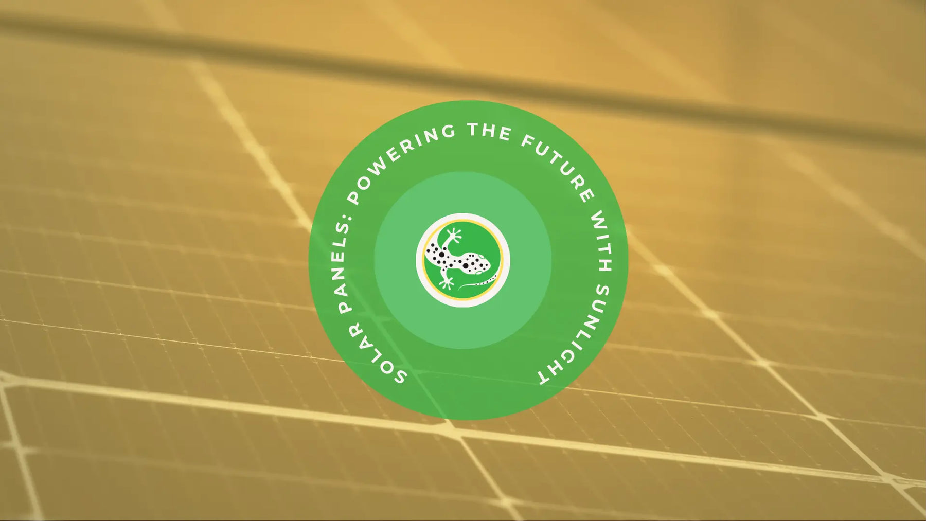 Solar Panel: Powering the Future with Sunlight by Generation Eco Store