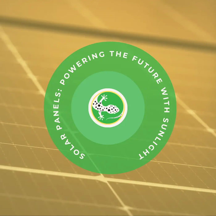 Solar Panel: Powering the Future with Sunlight by Generation Eco Store