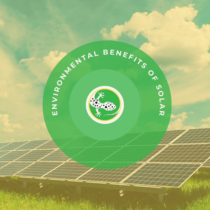 Exploring the Environmental Benefits of Solar Power: A Sustainable Energy Solution