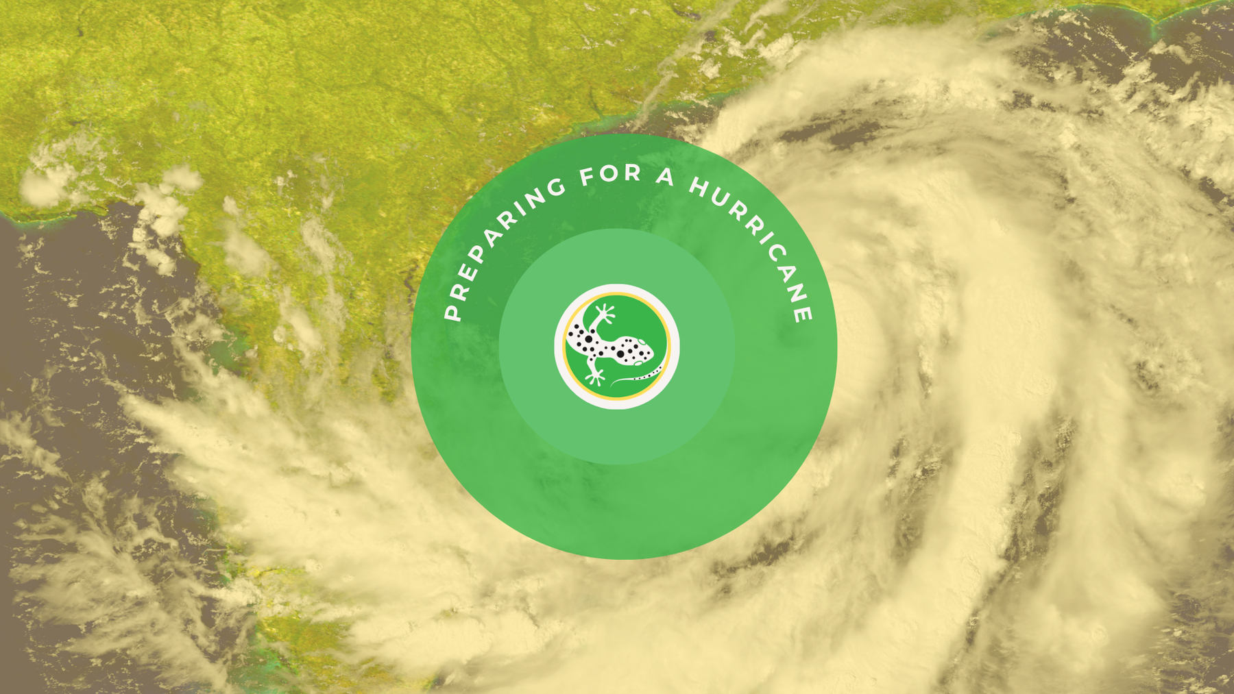 Hurricane Preparedness Kit: Your Quick Guide to Staying Safe During the Storm