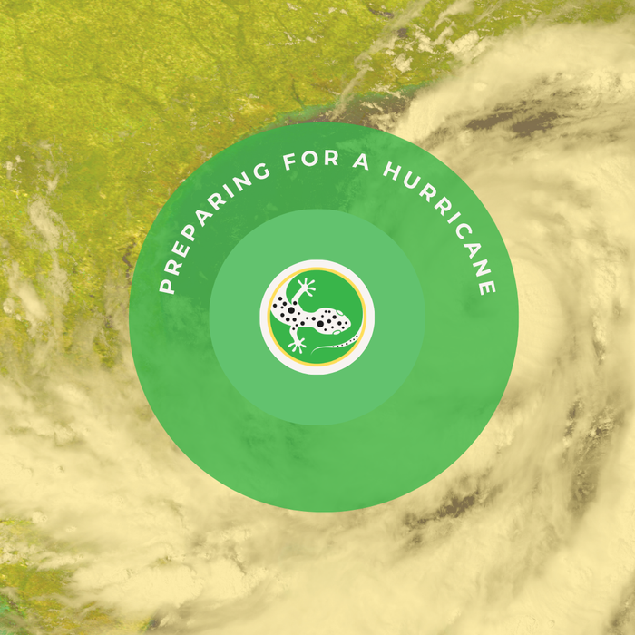 Hurricane Preparedness Kit: Your Quick Guide to Staying Safe During the Storm