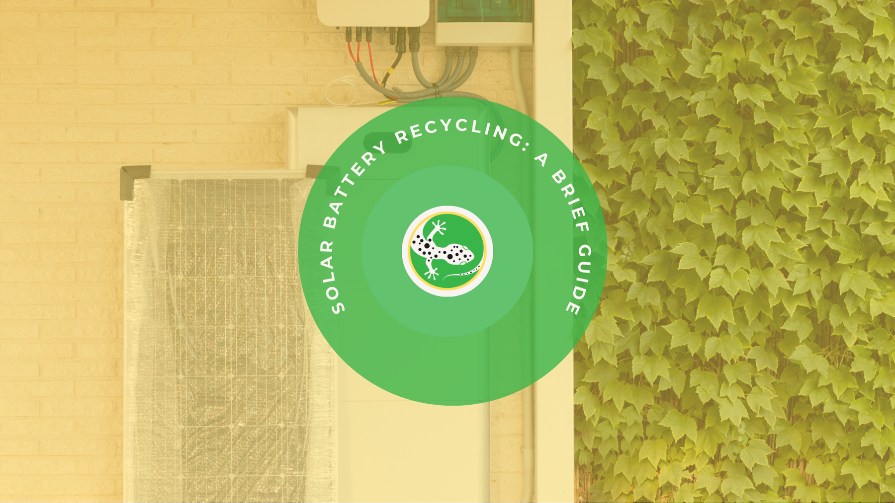 Solar Battery Recycling: A Guide for Sustainable Energy Storage