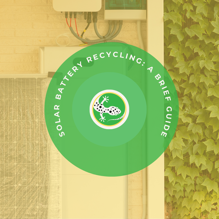 Solar Battery Recycling: A Guide for Sustainable Energy Storage