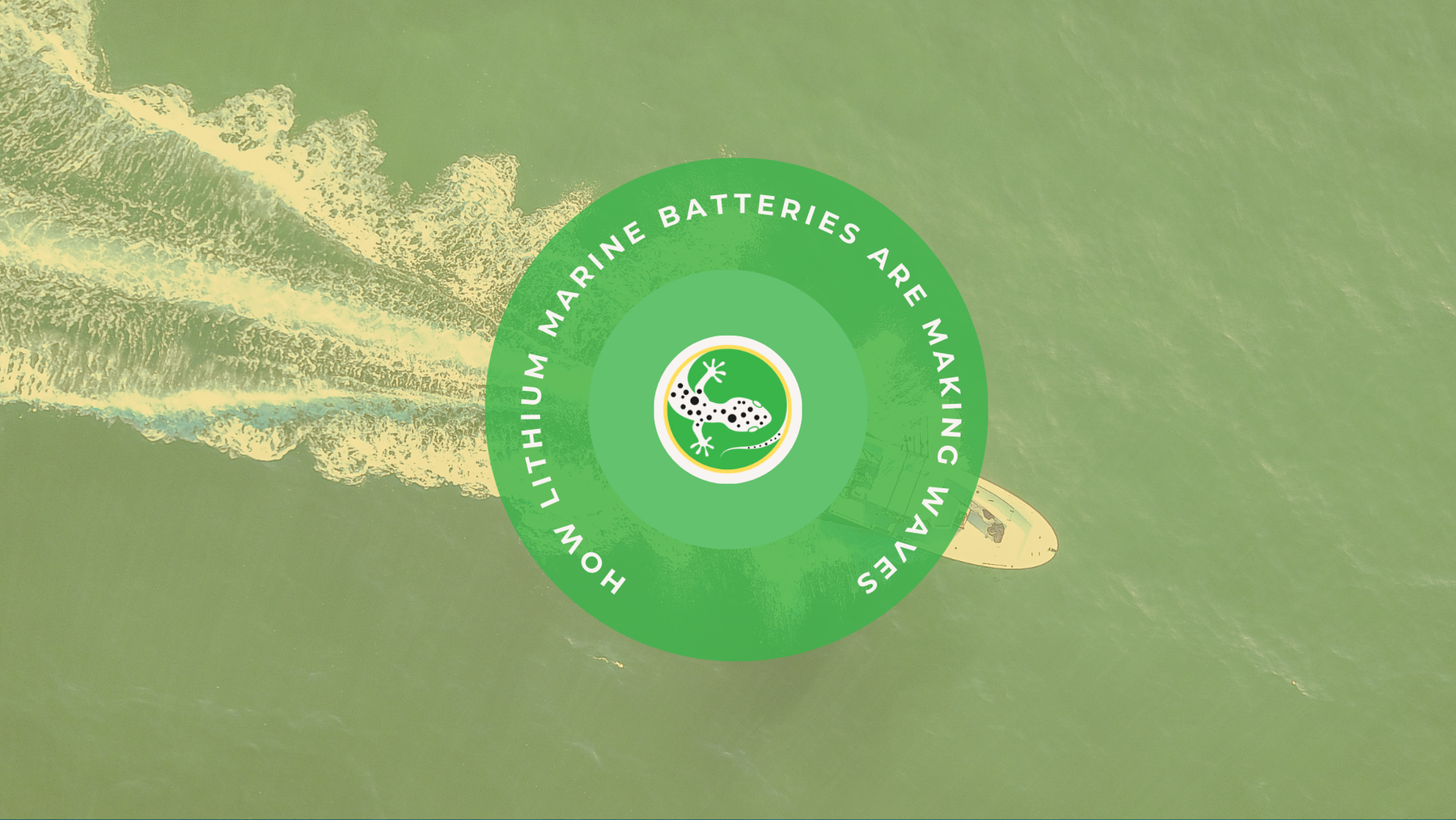 Lithium Marine Batteries: The Ultimate Guide to Reliable Power on the Water