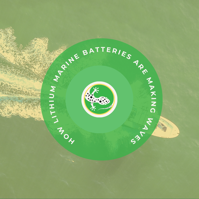 Lithium Marine Batteries: The Ultimate Guide to Reliable Power on the Water