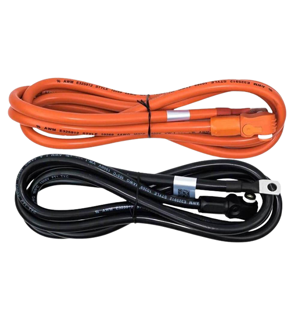 Pytes Power Cable  Battery-to-Inverter-200cm-6ft-6.74 at  Generation Eco Store