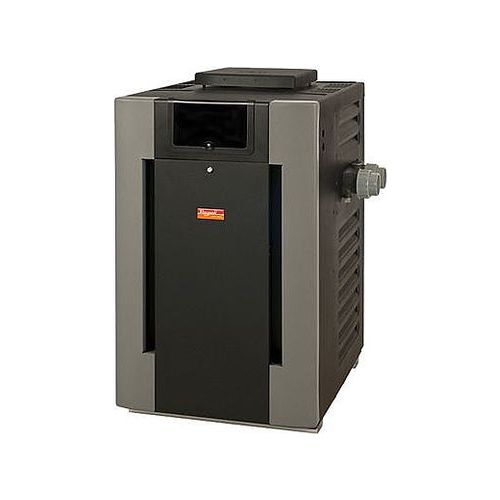 Raypak Digital 300k BTU Natural Gas Pool Heater -P-R336A-EN-X