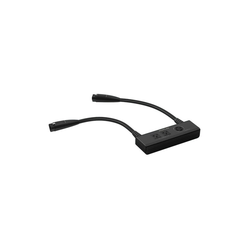 EcoFlow Double Voltage Hub (DELTA Pro).   At  Generation Eco Store