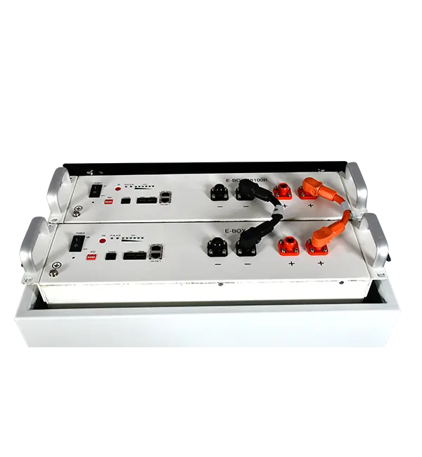 Pytes Forest RB Indoor Cabinet at Generation Eco Store