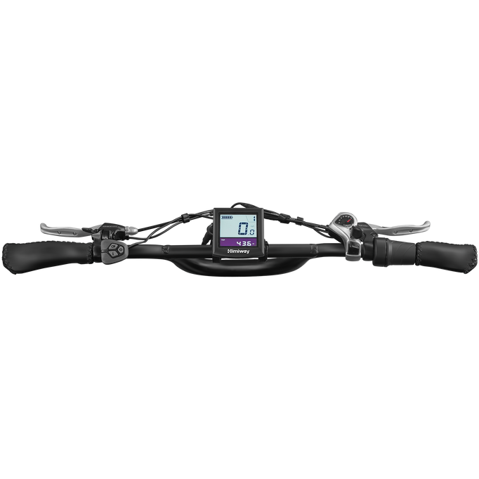 Himiway Escape Pro 750W Long Range Full Suspension Moped-style Electric Bike